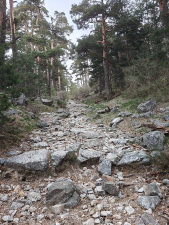 madrid02.jpg