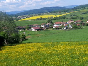 04_paysage.jpeg