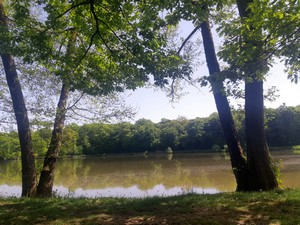 06_etang.jpeg
