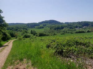 07_paysage.jpeg