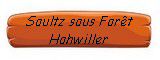 b_soultz_sous_foret_hohwiller.jpg